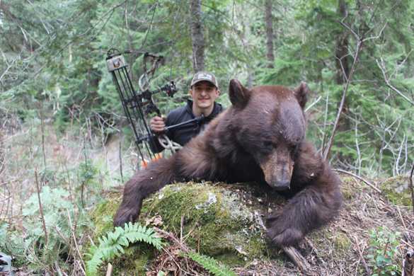 A bowhunter with bear